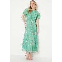 Oasis Sage Midi Dress Womens Occasion Dresses