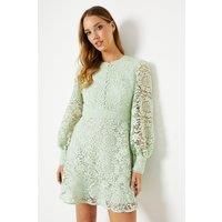 Lace Button Down Mini Tea Dress