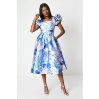 Frill Sleeve Twill Midi Dress