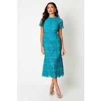 Coast Womens Midi Dress Turquoise Lace Floral Short Sleeve Elegant Angled Trims
