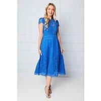 Lace Fit And Flare Midi Dress