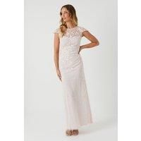 Coast A-Line Dress Womens Bridesmaids Dresses Blush BCC08112-107-16