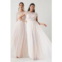 Coast Womens Maxi Dress Blush V-Neck Short Sleeve Angel Sleeve Tulle Overlay
