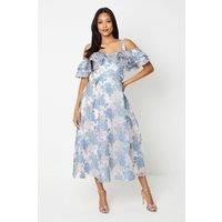 Coast A-Line Dress Womens Occasion Dresses
