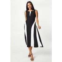 Coast Womens Fit Flare Dress Mono V-Neck Sleeveless Midi Crepe