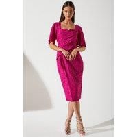 Coast Womens Pencil Dress Berry Lace Flutter Sleeve Sweetheart Neckline