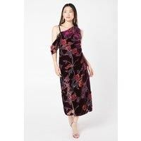 Coast Womens Pencil Dress Wine One Shoulder Floral Devore Midi Spring Summer