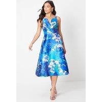 Coast A-Line Dress Womens Occasion Dresses