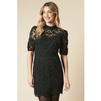Dorothy Perkins Womens Mini Dress Black Lace High Neck Short Sleeve Elegant