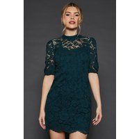 Dorothy Perkins Womens Mini Dress Forest Lace High Neck Short Sleeve Elegant