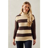 Womens Striped Roll Neck Jumper