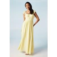 Coast Lemon A-Line Dress Womens Bridesmaids Dresses