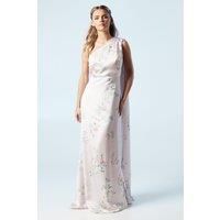 Coast Blush Fit & Flare Dress Womens Bridesmaids Dresses