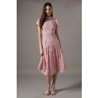 Coast Blush Midi Dress Womens Occasion Dresses