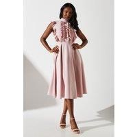 Coast Blush Fit & Flare Dress Womens Occasion Dresses