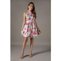 Coast Blush Mini Dress Womens Occasion Dresses