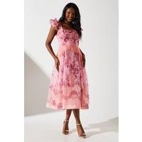 Coast Pink Midi Dress Womens Occasion Dresses
