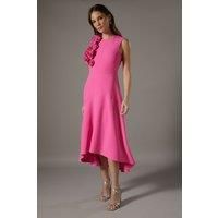 Coast Pink Midi Dress Womens Occasion Dresses