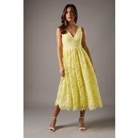 Coast Lemon Midi Dress Womens Occasion Dresses