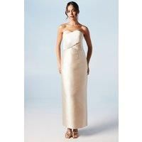 Coast Champagne Column Dress Womens Bridesmaids Dresses