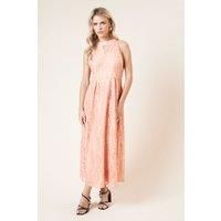 Dorothy Perkins Peach Midi Dress Womens Occasion Dresses