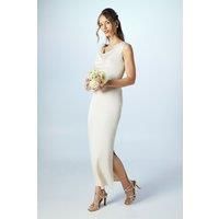 Coast Champagne A-Line Dress Womens Bridesmaids Dresses