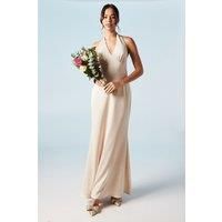 Coast Champagne Bridesmaid Dress Womens Bridesmaids Dresses
