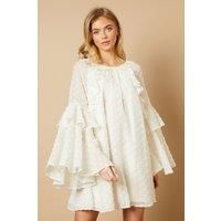 Dobby Chiffon Ruffle Sleeve Mini Dress