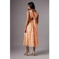 Coast Peach Midi Dress Womens Occasion Dresses
