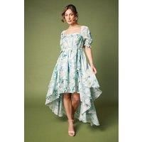 Coast Green Fit & Flare Dress Womens Occasion Dresses