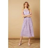 Oasis Lilac Midi Dress Womens Occasion Dresses
