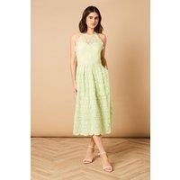 Oasis Sage Midi Dress Womens Occasion Dresses
