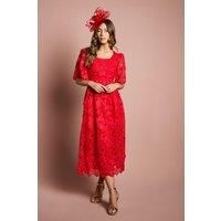 Coast Red Fit & Flare Dress Womens Occasion Dresses