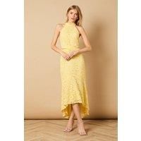 Oasis Lemon Midi Dress Womens Occasion Dresses