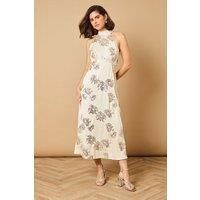 Oasis Champagne Dress Womens Occasion Dresses