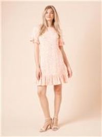 Dorothy Perkins Animal Mini Dress Womens Casual Dresses