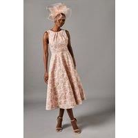 Coast Fit & Flare Dress Womens Occasion Dresses