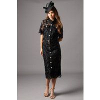 Coast Black Pencil Skirt Womens Occasion Skirts