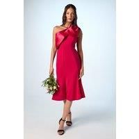 Coast Magenta Fit & Flare Dress Womens Bridesmaids Dresses