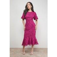 Oasis Purple Midi Dress Womens Occasion Dresses