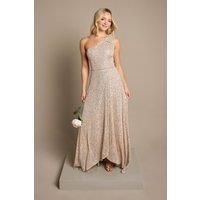Coast Champagne A-Line Dress Womens Bridesmaids Dresses