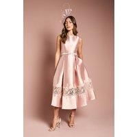 Coast Pink Fit & Flare Dress Womens Occasion Dresses