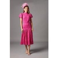 Coast Pink Midi Dress Womens Occasion Dresses