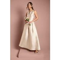 Coast Champagne Fit & Flare Dress Womens Bridesmaids Dresses
