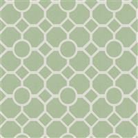 RHS Star Trellis Sage Wallpaper