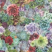 Arthouse Succulent Living Wall Multicoloured Wallpaper Flowers Paste The Wall