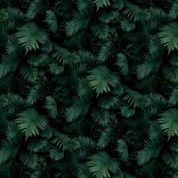 Arthouse Green Fern Leaves 3D Like Wallpaper - Photographic Effect - Deep Green & Black Dramatic Tones Look Alive - Effortless Boutique Glamourous Style - Easy to Apply Quality Wallpaper 907601