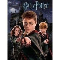 Pyramid International HARRY POTTER Canvas Print Harry Ron Hermione 60cm x 80cm - Official Merchandise