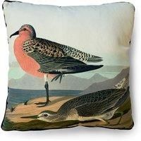 John James Audubon Red Breasted Sandpiper Cushion - 40x40cm Piped Brushed Velvet