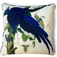 Art Group John James Audubon Columbia Jay 55X55Cm Canvas
